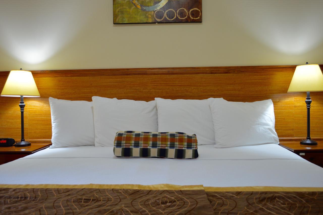 Hotel Kiskadee Korner Port of Spain Zewnętrze zdjęcie